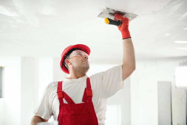 Best Drywall Sanding and Smoothing  in Girard, OH